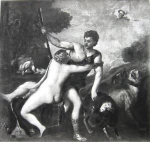 Mythologie, HÜBSCHER NACKTER AKT FRAU MÄDCHEN GÖTTIN VENUS & ADONIS ~ 1892 Kunstdruck - Bild 1 von 1