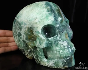 Lifesized 6.7" Fluorite Hand Carved Crystal Skull, Realistic, Crystal Healing - Picture 1 of 8