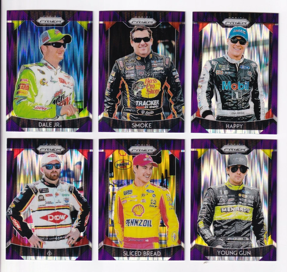 2019 Panini PRIZM PURPLE PARALLEL VARIATION (Jr.) #41B Dale Earnhardt Jr.-1 CARD - Image 1 of 1