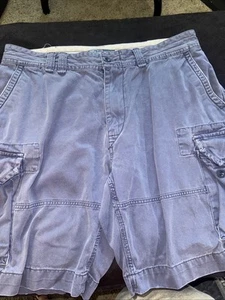 Men’s Size 38 Polo Ralph Lauren Blue Cargo Shorts - Imagen 1 de 10