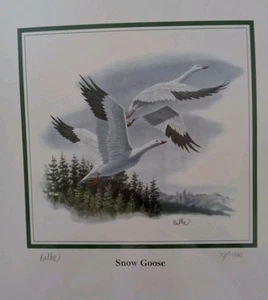 FDC Snow Goose Print 71 / 1000 ** Beautiful Piece - Picture 1 of 4