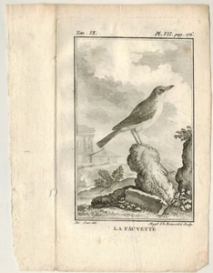 1770-Planche.Gravure-Chromo-La Fauvette-Histoire naturelle-Oiseaux-Buffon - Foto 1 di 2