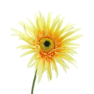 GASPER Gerbera Gelb & Orange 66 cm - Kunstblumen - Bild 1 von 1