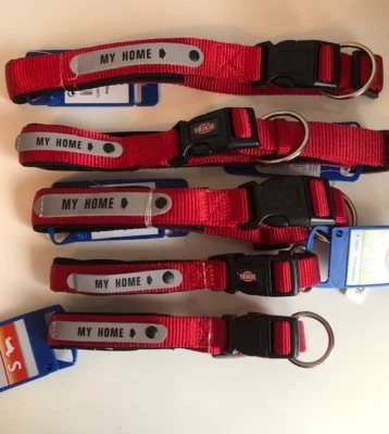 Collar acolchado de nailon para perro con etiqueta de nombre - Personaliza Foto 1 de 2