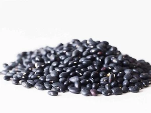 Organic Black Beans Dry Frijoles Tortuga *Bulk Size Lot 1 3 5 10 20+ LBS NON-GMO - Picture 1 of 3