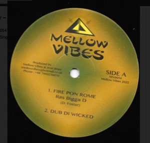 Ras Bigga D - Feuerpon Rom / Schwester Mary - New Dawn 12 Zoll sanfte Vibes - Bild 1 von 1