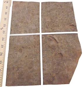 Elm Burl Carpathian wood veneer 9" x 11" raw no backing 1/42" thickness # 133 AA - Picture 1 of 2