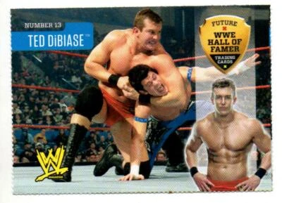 Tarjeta coleccionable Ted DiBiase Jr WWE Wrestling Magazine 2010 luchador AEW #13 Foto 1 de 3