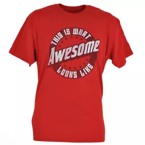 This is What Awesome Looks Like Novelty Funny Joke Fifth Sun Tshirt Tee - Picture 1 of 6
