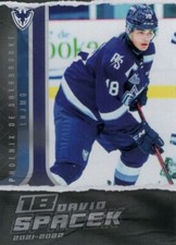 2021/22 Sherbrooke Phoenix - DAVID SPACEK [Iowa Wild] AHL