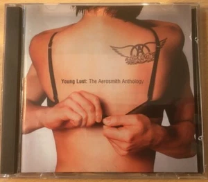 Aerosmith "Young Lust: The Aerosmith Anthology" 2CD Set *34 Tracks* (2001) GC - Bild 1 von 3