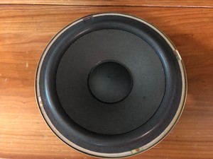 speaker portable aiwa 12 inch