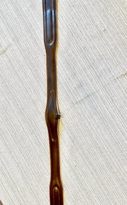 gurte reitsport - Bild 1 von 10