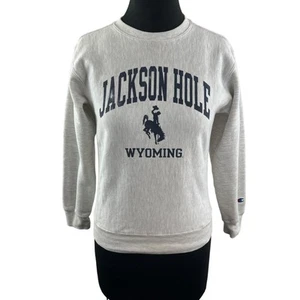 Vintage Champion "Jackson Hole" Gray Sweatshirt Long Sleeve Size Youth M Medium - Picture 1 of 7