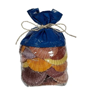 Pecten Nobilis en bolsa de vinilo de 8" - Imagen 1 de 1