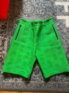 BOTTEGA VENETA Mens Insulated  nylon taffeta shorts color Parakeet Size XL $1950 - Picture 1 of 10