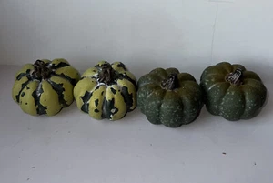 Pottery Barn Fall Harvest Green Mini Gourds Pumpkin Place Card Holder 4 In Box - Picture 1 of 12