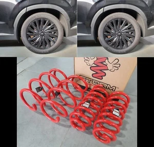 MUELLE REDUCTOR F&R 4 piezas para (2020-2025) PALISADE (LX2) [STORM SPRING, S. KOREA] - Imagen 1 de 10