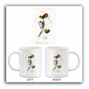 Ruby-Topaz Hummingbird & Tufted Coquette - 1849 - Bird Illustration Mug - Imagen 1 de 3