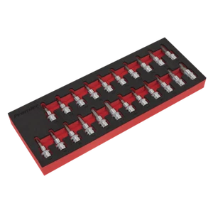 Sealey AK6243 TRX-Star*/Hex/Spline Socket Bit Set 22pc 3/8"Sq Drive - Picture 1 of 1