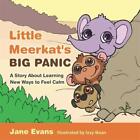 Little Meerkats Big Panic A Story About Learn Evans