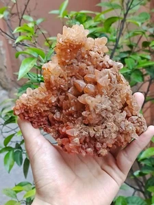 660g Natural Gemstone Orange Dog Tooth Calcite Cluster Mineral Specimen Crystal - Picture 1 of 16