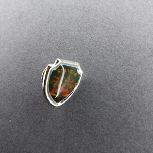 St. Lucia Palms Hat Jacket Pinback Pin - Picture 1 of 2