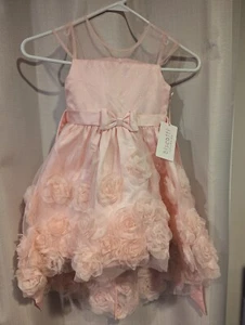 NWT Girls 4t Biscotti Pink Rose Wedding Girls Formal Party Dress NEW - Picture 1 of 3