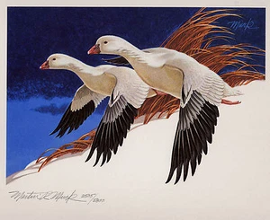 RW44 1977 FEDERAL DUCK STAMP PRINT ROSS' GEESE by Martin Murk List $400 - Picture 1 of 1