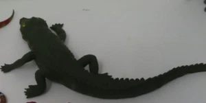Figura de juguete de cocodrilo cocodrilo de goma imperial de colección reptil China 2000 - Imagen 1 de 3
