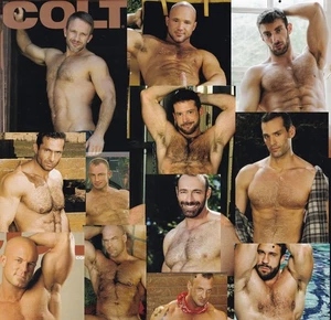 COLT HAIRY CHESTED 2020 CALENDAR PLAYGIRL HUNKS LIKE ZAK SPEARS AARON CAGE BRAD - Picture 1 of 1