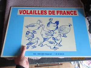 Ancienne Plaque Plast VOLAILLE DE FRANCE Déco Elevage Producteur Boutique Bar - Imagen 1 de 2