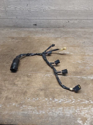 2009 09 - 14 10 11 12 13 雅马哈 R1 YZF-R1 发射线圈线束(OEM) — 第 1/4 张图片