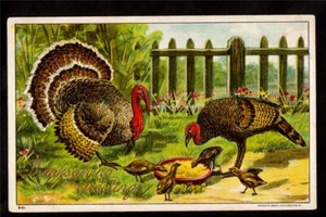 1908 J.Bien Turkeys feeding on farm Thanksgiving postcard - Picture 1 of 1