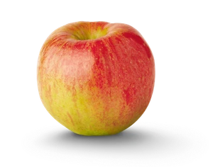 12 APPLE TREE CUTTINGS DWARF Organic LIVE Plant Grafting Rooting Scions No Roots - Picture 1 of 3