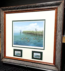 Stampa CCA John Dearman 2017 Coastal Conservation Association con francobolli nuova cornice - Foto 1 di 10