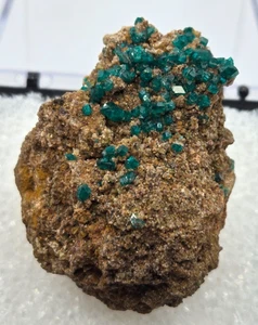 +++ DIOPTASE MAMMUT - ST. ANTHONY MINE, PINAL COUNTY, ARIZONA +++ - Bild 1 von 8