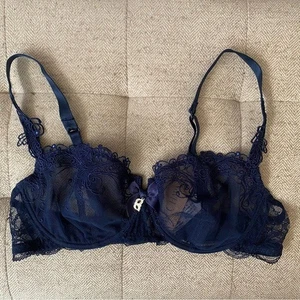 Lise Charmel Size 34D SOIR DE VENISE Demi Cup Bra Blue NEW - Picture 1 of 10