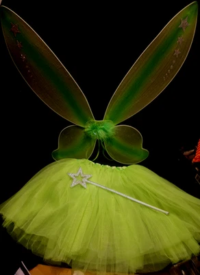 Disfraz de Hada Pixie Princesa Alas Brillantes Varita y Tutú Pequeño Niño Pequeño Foto 1 de 4