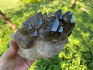 Muestra de cuarzo ahumado Goboboseb (Namibia) 2,47 lb 6,3" - Imagen 1 de 16