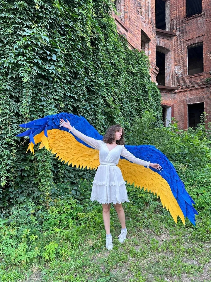 Dance Wings Belly Dance Fairy Costume Cosplay Bird CostumeFestival Fantasy Sexy - Image 1 of 4