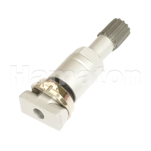 Metallventil Ventil Servive-Kit für Schrader TPMS RDKS Gen Gamma Sensoren - Bild 1 von 1