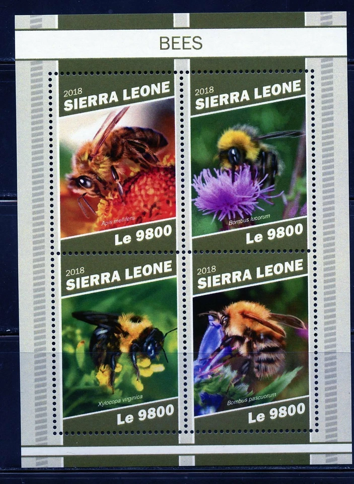 Sierra Leone 2018 Api Foglio come Nuovo Mai Incernierato - Immagine 1 di 1