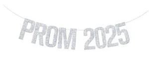 Prom 2025 Banner, Prom Night Decor, 2025 Graduation Decorations, Class of 2025 - Picture 1 of 8