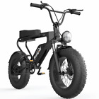 20'' Electric Bicycle 1200W Fat tires Sand Grass Desert Off Road Mountain Bike