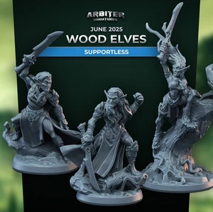 Arbiter Miniatures Wood Elf Adventurers P2 28mm Frostgrave pathfinder D&D - Picture 1 of 6