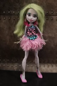 Monster High WILD Outfit and Accessories - NO DOLL - Picture 1 of 7