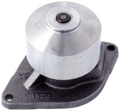 Bomba de agua del motor para puertas Workhorse Custo P42 2004-2005 Foto 1 de 3