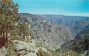Barrancas del Cobre Admiradas Mexico desde el Divisadero Postcard - Picture 1 of 2
