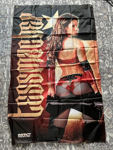 Brooke Tessmacher TNA Impact Wrestling Flag Banner Knockouts Division AEW WWE Cover